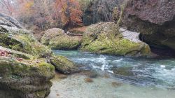 Erlaufschlucht 2021 002