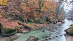 Erlaufschlucht 2021 008