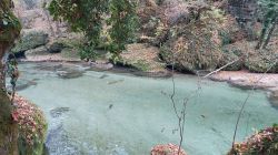 Erlaufschlucht 2021 009